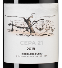 Вино Cepa 21, (134926), красное сухое, 2018 г., 0.75 л, Сепа 21 цена 5490 рублей