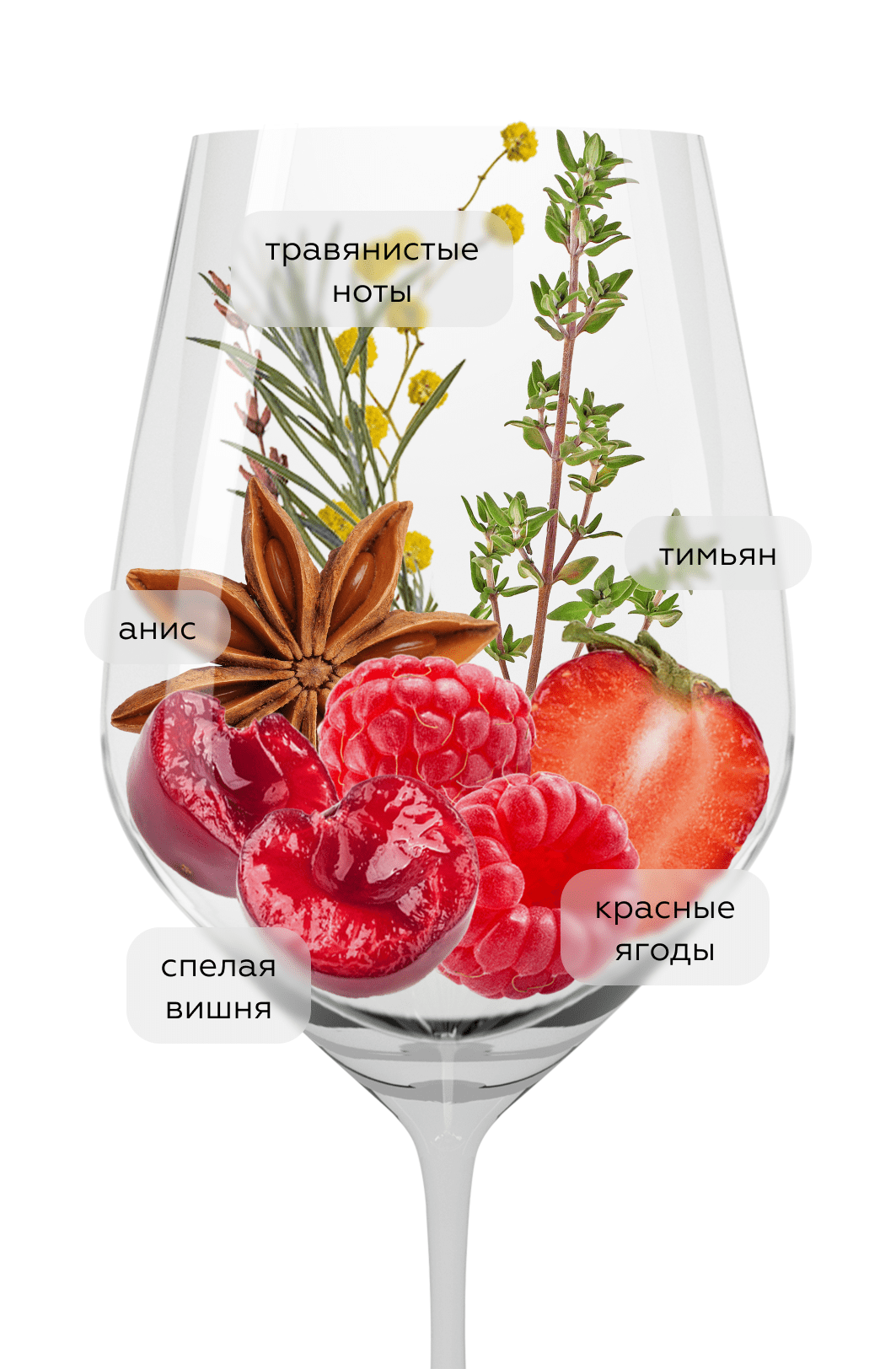 Вино Paddle Creek Pinot Noir, Lake Road Group Limited, 2022, (145704), Новая Зеландия, Мальборо, красное, сухое, 0.75 л, Паддл Крик Пино Нуар, цена 2990 рублей