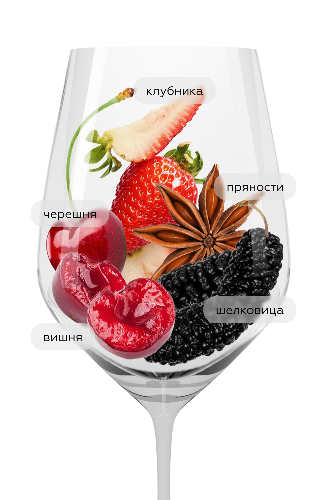 Вино Zweigelt Rose, Nastl, 2023, (149686), Австрия, Нижняя Австрия, розовое, сухое, 0.75 л, Цвайгельт Розе, цена 2990 рублей