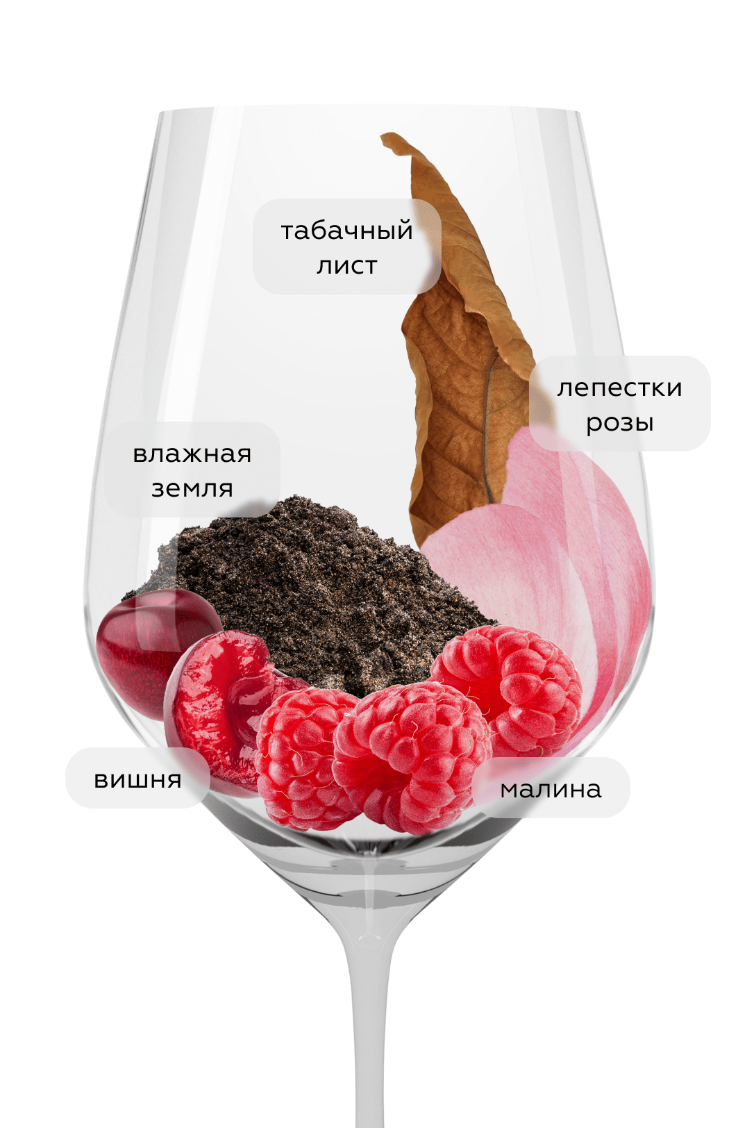 Вино Max Reserva Pinot Noir, Errazuriz, 2021, (143002), Чили, Аконкагуа, красное, сухое, 0.75 л, Макс Ресерва Пино Нуар, цена 3790 рублей