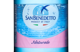 Вода негазированная San Benedetto (24 шт.*0.5 л.)