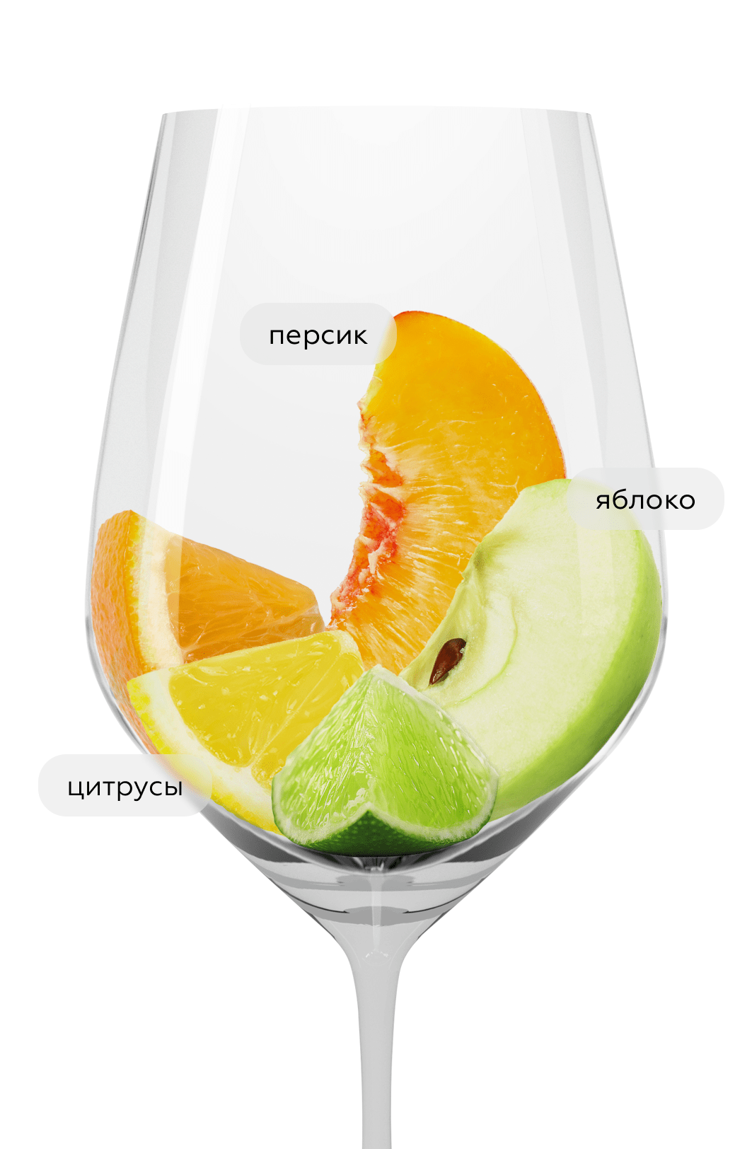 Игристое вино безалкогольное Hans Baer Riesling Sparkling No Alcohol, 0.5%, Weinkellerei Hechtsheim, (148650), Германия, Пфальц, 0.75 л, Ханс Баер Рислинг Спарклинг Безалкогольное, цена 1640 рублей