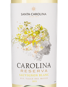 Carolina Reserva Sauvignon Blanc