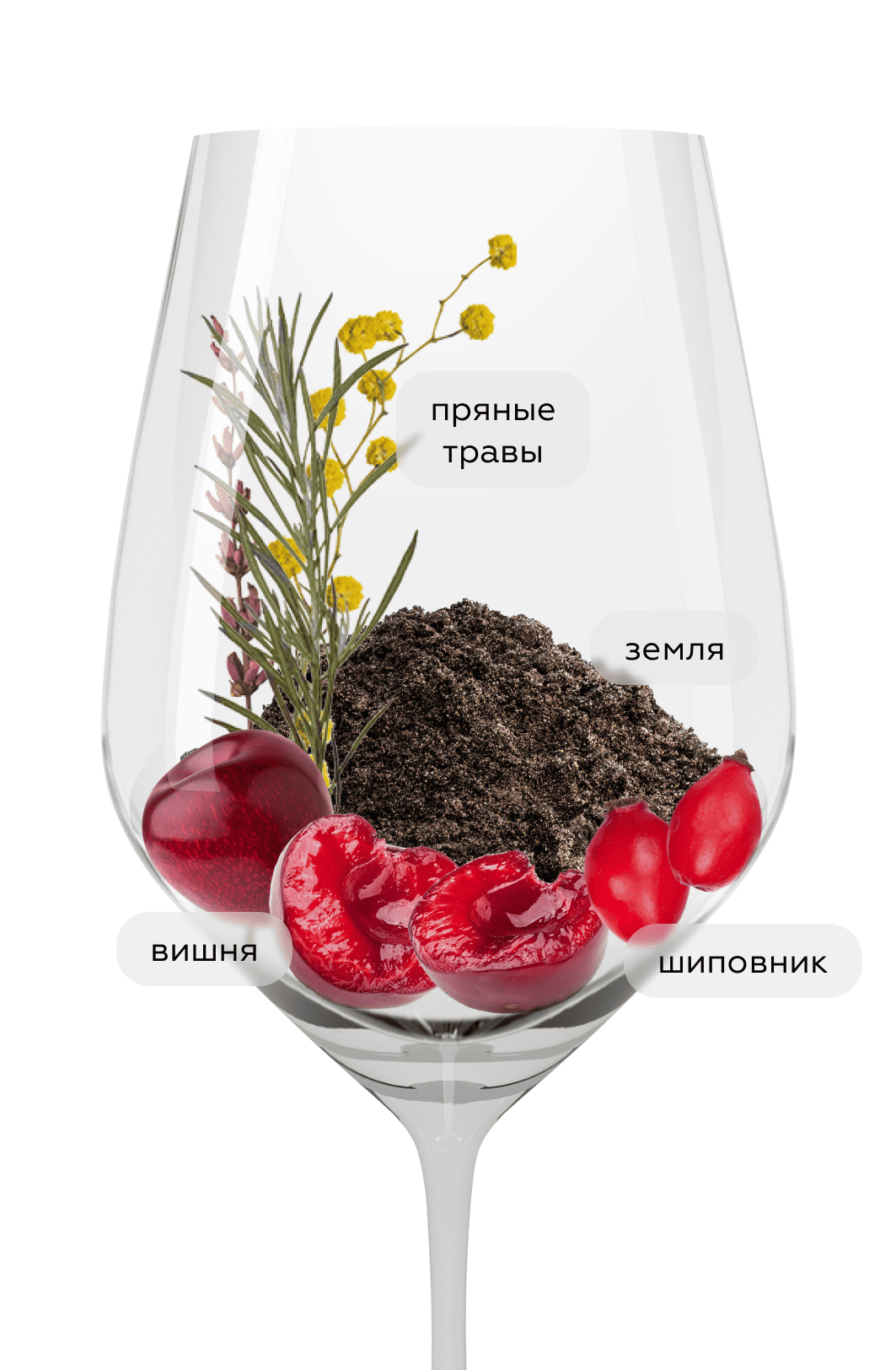 Вино Pinot Noir, Vina Arboleda, 2021, (140578), Чили, Аконкагуа, красное, сухое, 0.75 л, Пино Нуар, цена 5490 рублей