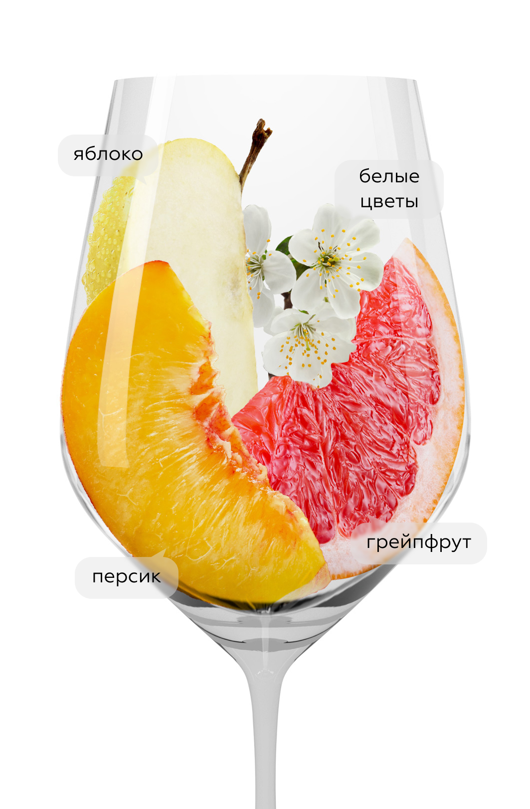 Вино Tenuta Regaleali Bianco, Tasca d'Almerita, 2024, (156478), Италия, Сицилия, белое, сухое, 0.75 л, Тенута Регалеали Бьянко, цена 2890 рублей