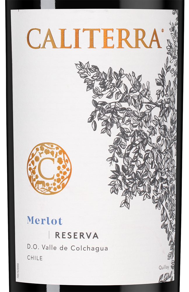 Вино Merlot Reserva, Caliterra, 2022, (143006), Чили, Центральная Долина, красное, сухое, 0.75 л, Мерло Ресерва, цена 2190 рублей
