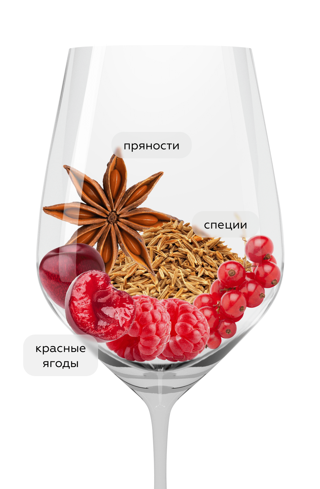 Вино El Pillo Vinas Rebeldes, Felix Solis, 2021, (148196), Испания, Кастилия и Леон, красное, полусухое, 0.75 л, Эль Пильо Виньяс Ребельдас, цена 2290 рублей