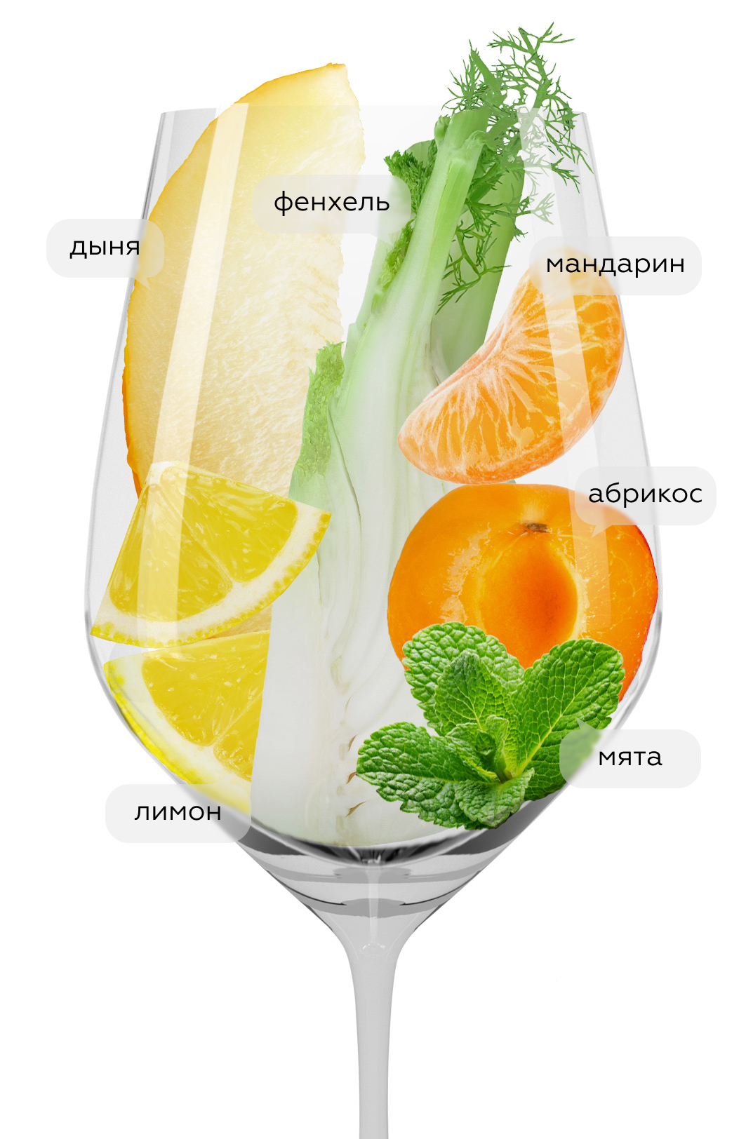 Вино Ailala Treixadura, Coto de Gomariz, 2020, (129102), Испания, Галисия, белое, сухое, 0.75 л, Айлала Трейшадура, цена 2490 рублей