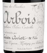 Вино со структурированным вкусом Arbois Rouge Trousseau Ruzard
