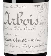 Вино Arbois Rouge Trousseau Ruzard, (138861), красное сухое, 2019 г., 0.75 л, Арбуа Руж Труссо Рюзар цена 11490 рублей
