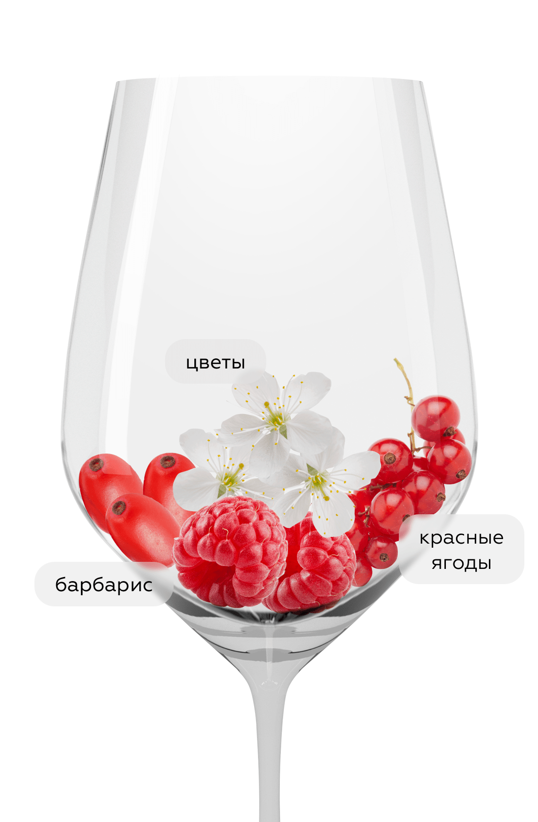 Вино Mantra Сира Розе, Mantra Estate, 2023, (152659), Россия, Кубань, розовое, сухое, 0.75 л, Мантра Сира Розе, цена 2990 рублей