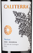 Чилийское красное вино Merlot Reserva