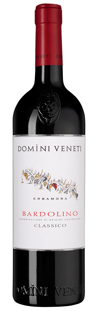 Вино Bardolino Classico, Domini Veneti, 2024, (155378), Италия, Венето, красное, полусухое, 0.75 л, Бардолино Классико, цена 2990 рублей
