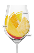 Riesling Vom Grauen Schiefer