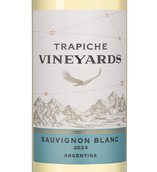 Вина из Аргентины Sauvignon Blanc Vineyards