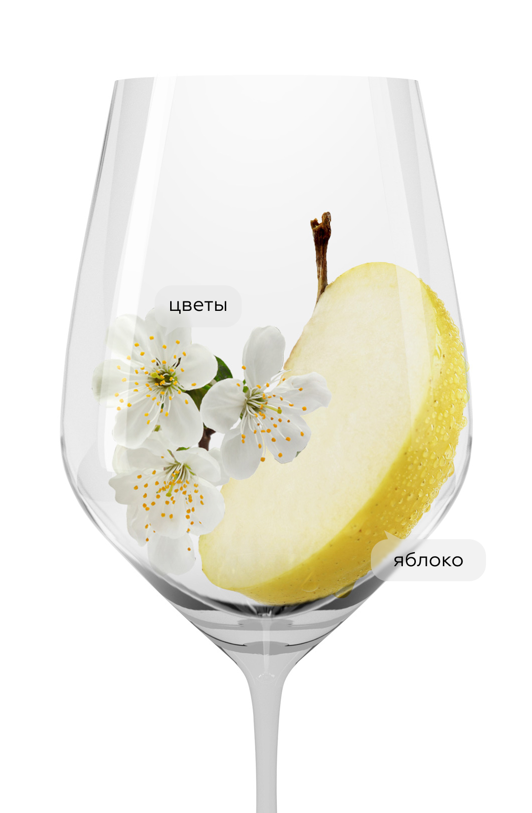 Игристое вино Prosecco, Cielo, (157974), Италия, Венето, белое, брют, 0.75 л, Просекко, цена 1793 рублей