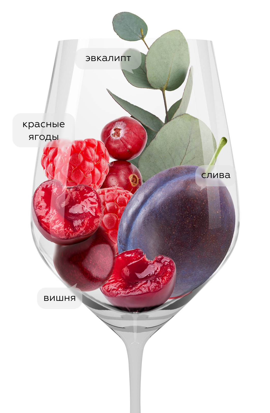 Вино Valpolicella Classico Superiore Ognisanti, Bertani, 2021, (147411), Италия, Венето, красное, сухое, 0.75 л, Вальполичелла Классико Супериоре Оньисанти, цена 8990 рублей