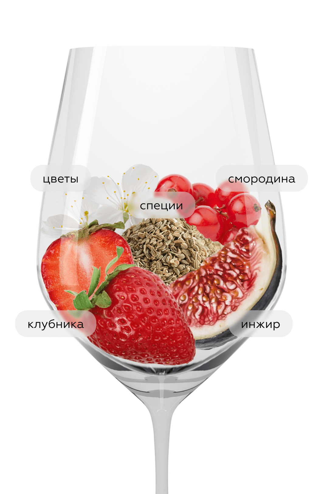 Вино Lello Rose, Vinhos Borges, 2023, (149100), Португалия, Дору, розовое, сухое, 0.75 л, Леллу Розе, цена 2190 рублей