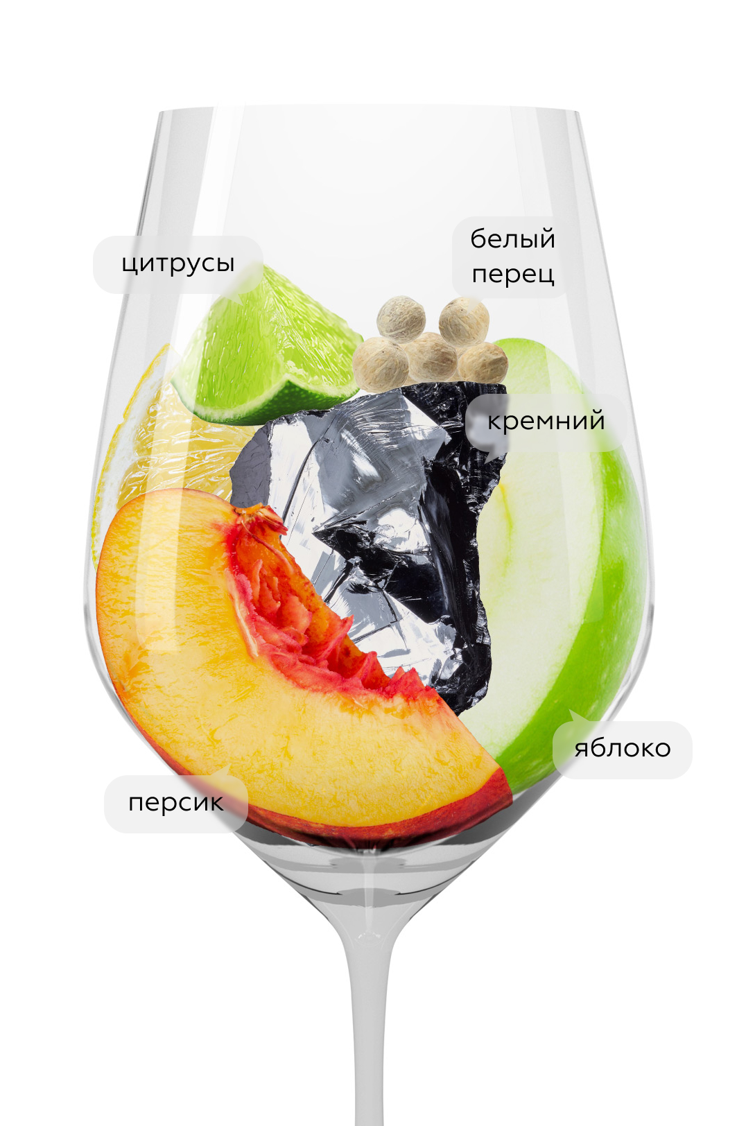 Вино Point Gruner Veltliner, Nigl, 2022, (143026), Австрия, Нижняя Австрия, белое, сухое, 0.75 л, Грюнер Вельтлинер Поинт, цена 2790 рублей