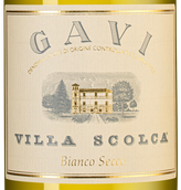 Gavi Villa Scolca