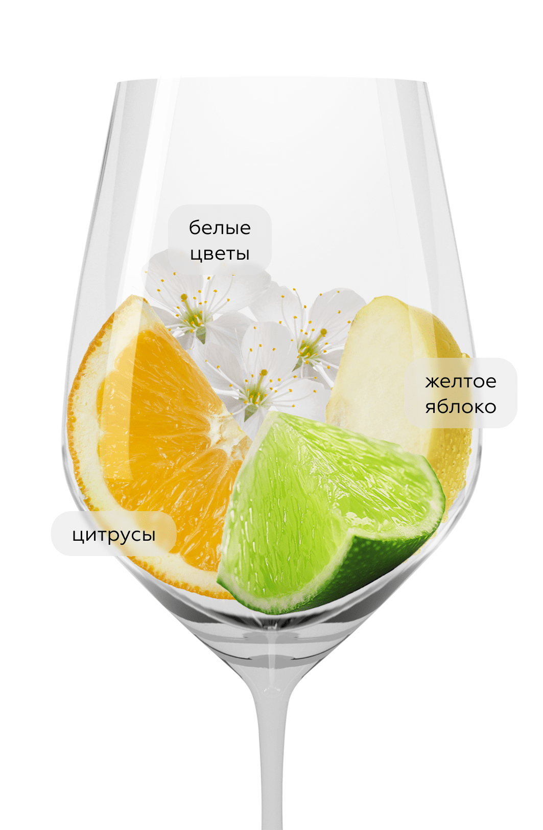 Игристое вино Cielo Blanc de Blancs, (154392), Италия, Венето, белое, брют, 0.75 л, Чело Блан де Блан, цена 1393 рублей