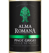 Белые итальянские вина Alma Romana Pinot Grigio