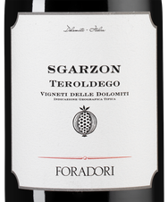 Вино Sgarzon, (148803), красное сухое, 2022 г., 0.75 л, Сгарцон цена 8490 рублей