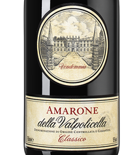 Вино Amarone della Valpolicella Classico, (139368), красное сухое, 1994 г., 0.75 л, Амароне делла Вальполичелла Классико цена 114990 рублей