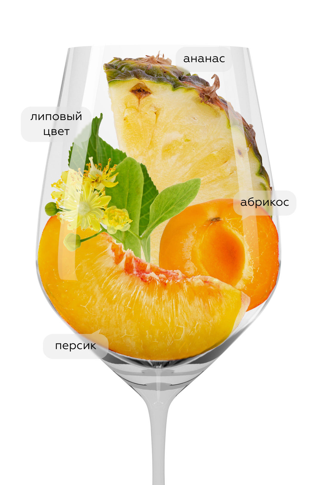 Вино Шардоне, Сикоры, 2021, (141205), Россия, Кубань, белое, сухое, 0.75 л, Шардоне, цена 2390 рублей