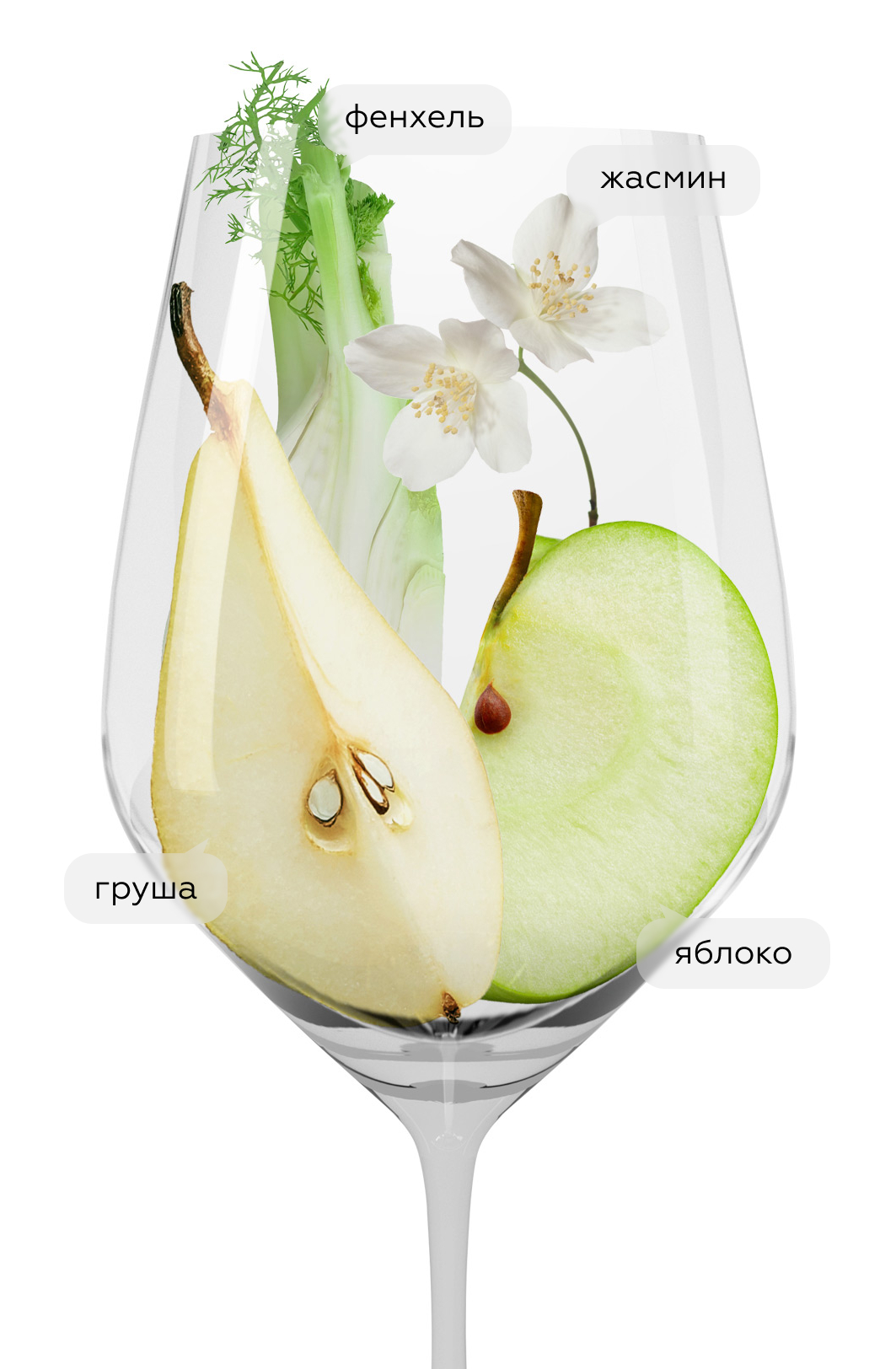 Вино Xitxarello, Democratic Wines, 2021, (137380), Испания, Каталония, белое, полусухое, 0.75 л, Чичарелло, цена 2243 рублей