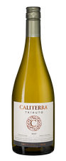 Вино Chardonnay Tributo, (115303), белое сухое, 2017 г., 0.75 л, Шардоне Трибуто цена 2490 рублей