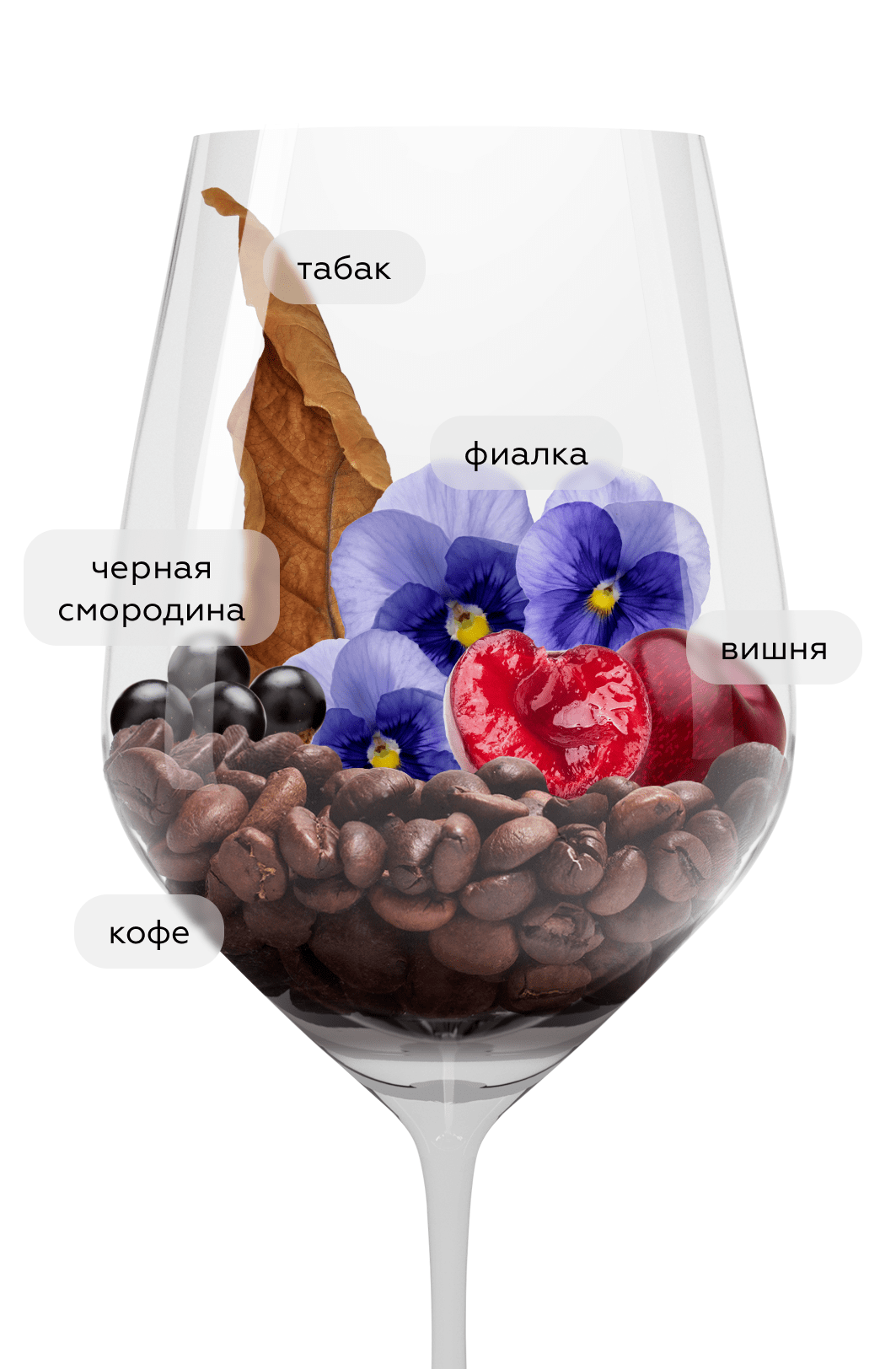 Вино Cabernet Sauvignon Reserva, Caliterra, 2020, (132859), Чили, Центральная Долина, красное, сухое, 0.75 л, Каберне Совиньон Ресерва, цена 2190 рублей