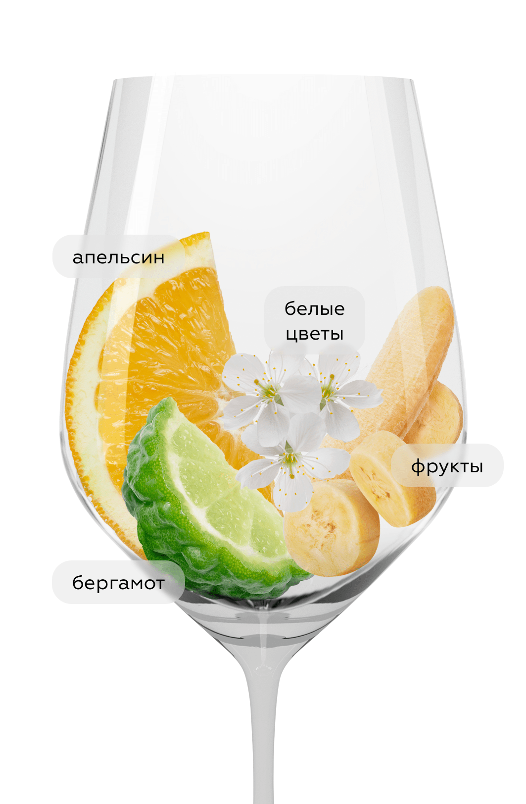 Вино Falanghina, Feudi di San Gregorio, 2024, (154634), Италия, Кампания, белое, сухое, 0.75 л, Фалангина, цена 4490 рублей