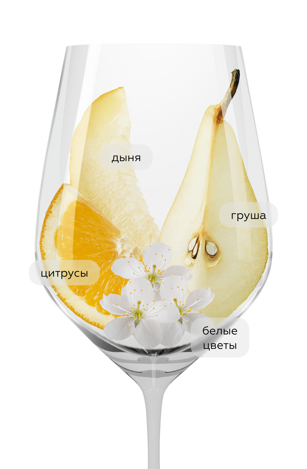 Вино Saint-Joseph Blanc, Guigal, 2019, (135319), Франция, Долина Роны, белое, сухое, 0.75 л, Сен-Жозеф Блан, цена 8990 рублей