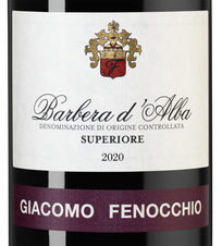Вино Barbera d`Alba Superiore, (140370), красное сухое, 2020 г., 0.75 л, Барбера д`Альба Супериоре цена 4490 рублей
