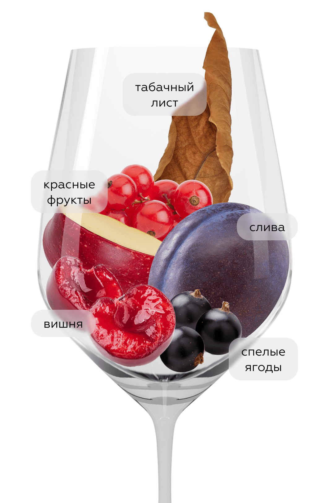 Вино Семисам Резерв, Шумринка, 2022, (151884), Россия, Кубань, красное, сухое, 0.75 л, Семисам Резерв, цена 1440 рублей