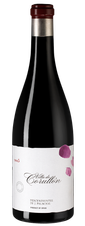 Вино Villa de Corullon, (104776), красное сухое, 2015 г., 0.75 л, Вилла де Корульон цена 8690 рублей