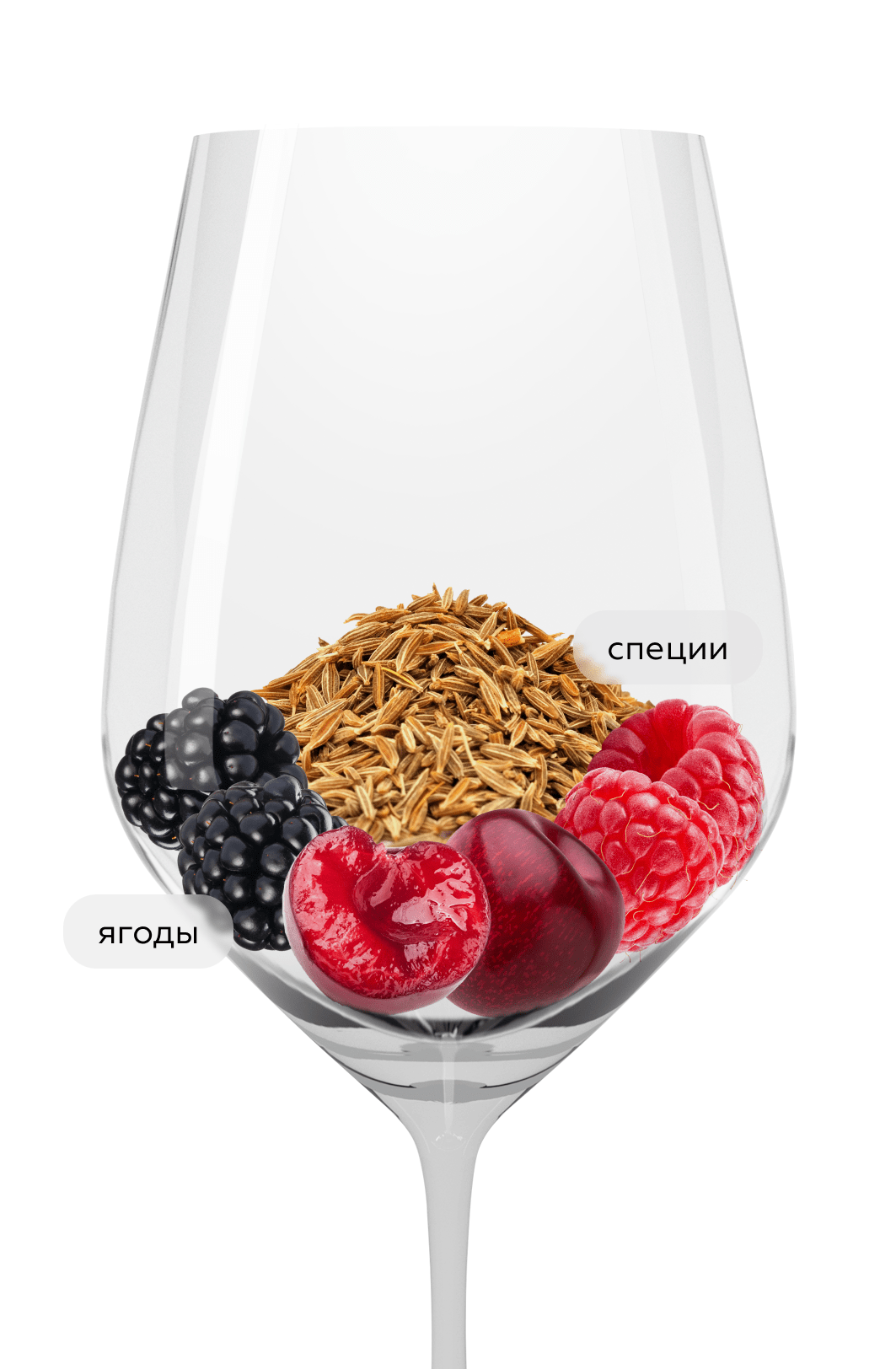 Вино Семисам Саперави Сира Резерв, Шумринка, 2022, (153946), Россия, Кубань, красное, сухое, 0.75 л, Семисам Саперави Сира Резерв, цена 1340 рублей