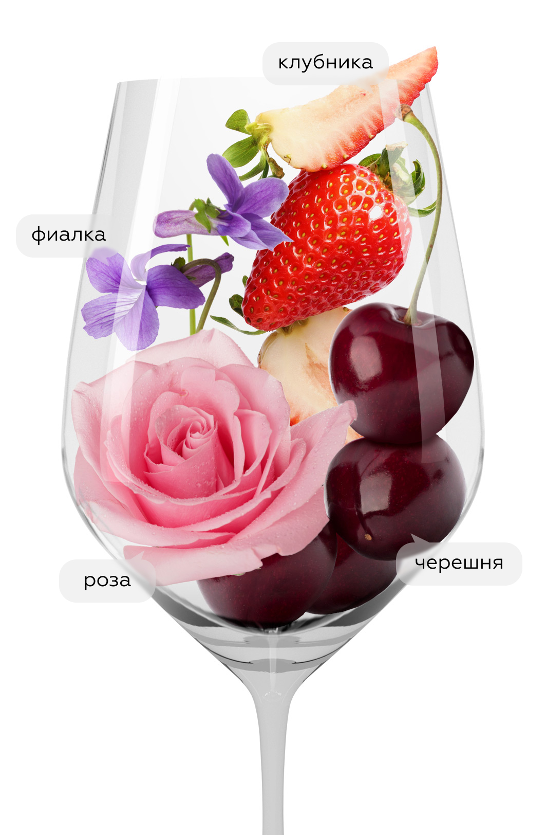 Вино Chianti Castiglioni, Frescobaldi, 2023, (150473), Италия, Тоскана, красное, сухое, 0.75 л, Кьянти Кастильони, цена 2243 рублей