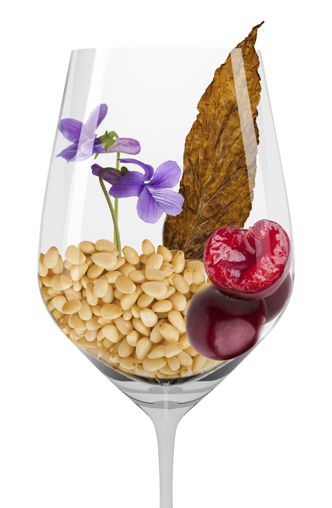 Вино Chateau Roc Taillade (Medoc), 2018, (143030), Франция, Бордо, красное, сухое, 0.75 л, Шато Рок Тайяд, цена 4990 рублей