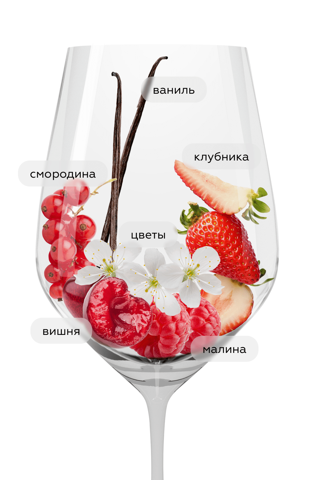 Вино Cabernet Sauvignon, Luigi Bosca, 2021, (143870), Аргентина, Мендоса, красное, сухое, 0.75 л, Каберне Совиньон, цена 2093 рублей