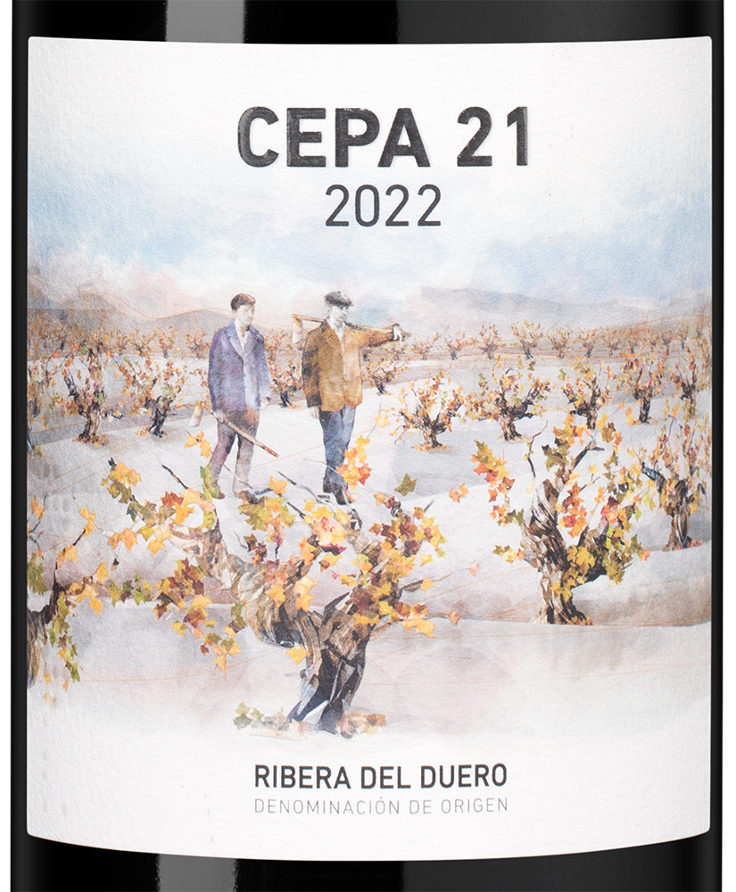 Вино Cepa 21, Bodegas Cepa 21, 2022, (154589), Испания, Кастилия и Леон, красное, сухое, 0.75 л, Рибера дель Дуэро Сепа 21, цена 6690 рублей