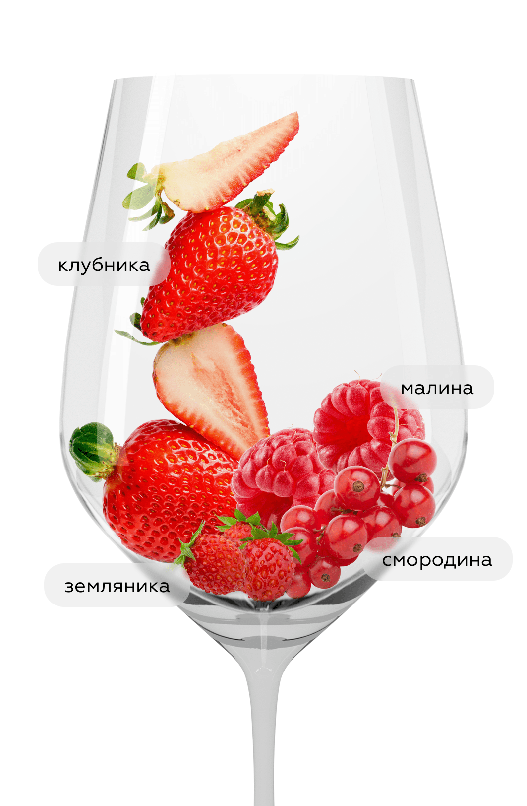 Игристое вино Cava Nuria Claverol Rose, Bodegues Sumarroca, 2018, (154533), Испания, Каталония, розовое, экстра брют, 0.75 л, Кава Нурия Клавероль Розе, цена 5618 рублей