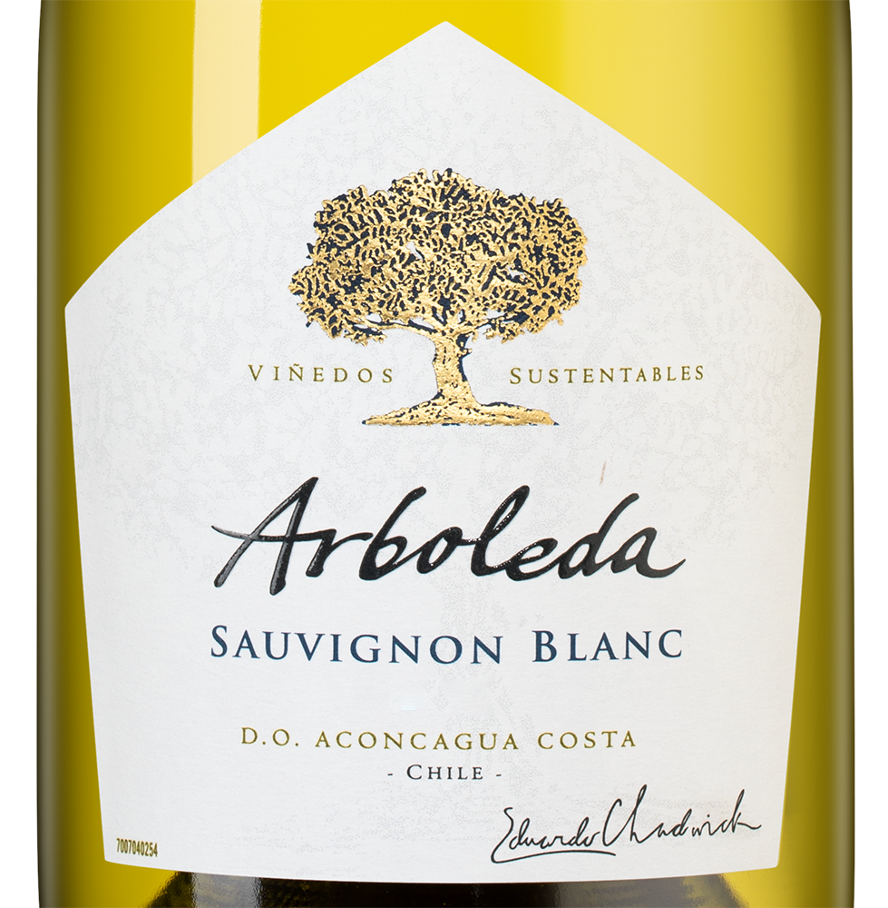 Вино Sauvignon Blanc, Vina Arboleda, 2022, (140577), Чили, Аконкагуа, белое, сухое, 0.75 л, Совиньон Блан, цена 4490 рублей