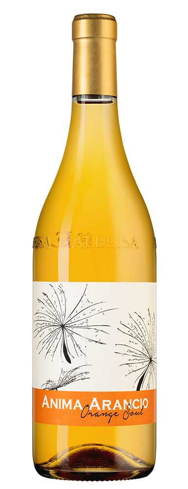 Вино Anima Arancio Orange Soul, Giacomo Fenocchio, (144409), Италия, Пьемонт, белое, сухое, 0.75 л, Анима Аранчо Орандж Соул, цена 11490 рублей