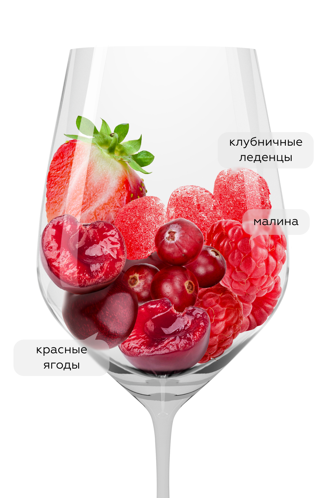 Вино Garnacha Art Collection, Gurpegui, 2024, (156718), Испания, Эстремадура, красное, сухое, 0.75 л, Гарнача Арт Коллекшн, цена 1690 рублей