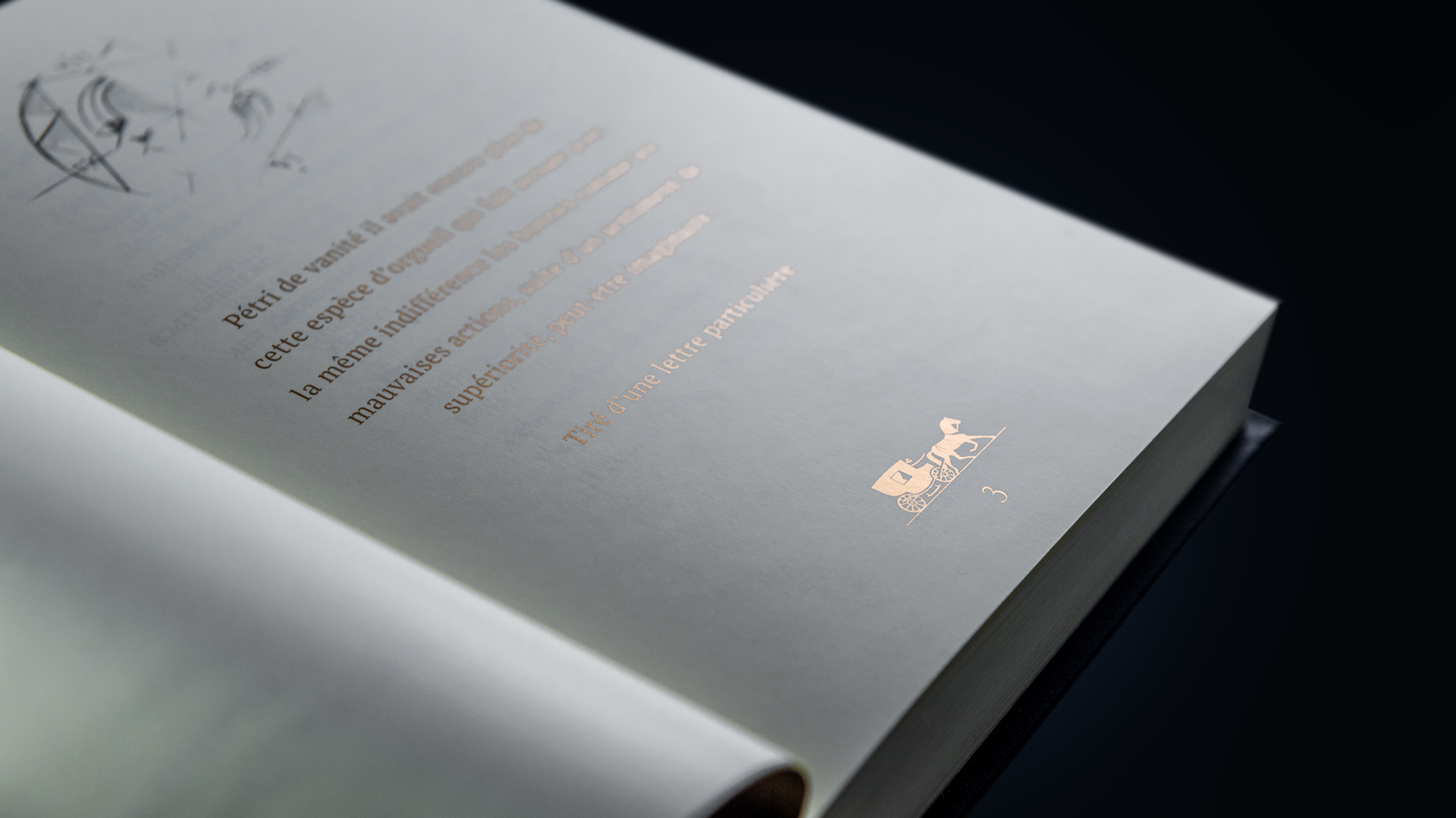 Эксклюзивное издание книги "Евгений Онегин", (102859), Россия, Эксклюзивное издание "Евгений Онегин", цена 500 рублей