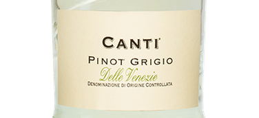 Белое вино Canti Pinot Grigio