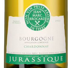 Вино Bourgogne Jurassique, (141626), белое сухое, 2022 г., 0.75 л, Бургонь Жюрассик цена 3490 рублей