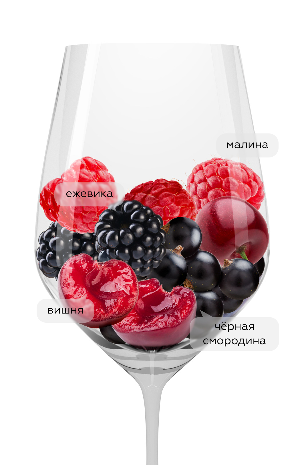 Вино Kindzmarauli Shildis Mtebi, 2024, (156742), Грузия, Кахетия, красное, полусладкое, 0.75 л, Киндзмараули Шилдис Мтеби, цена 1640 рублей